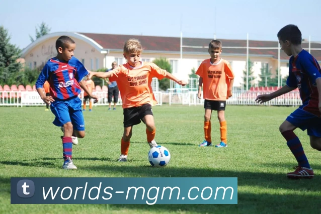 美高梅MGM官网服务体系